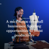 A Microscope On Small Businesses Spotting Opportunities To Boost Productivity-McKinsey